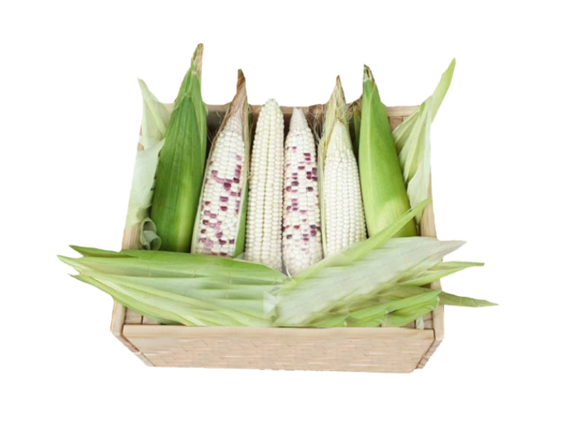 Organic Sweet Corn